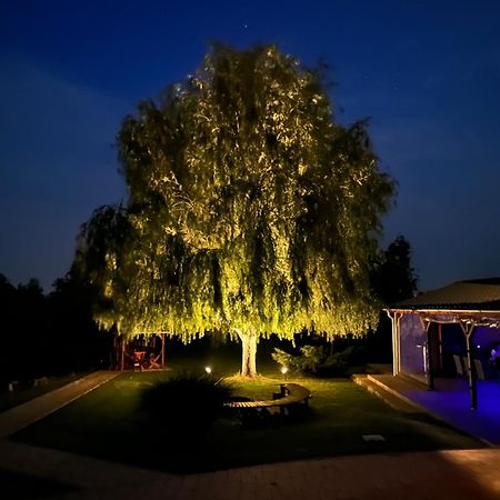 Battonya House Apartment ภายนอก รูปภาพ
